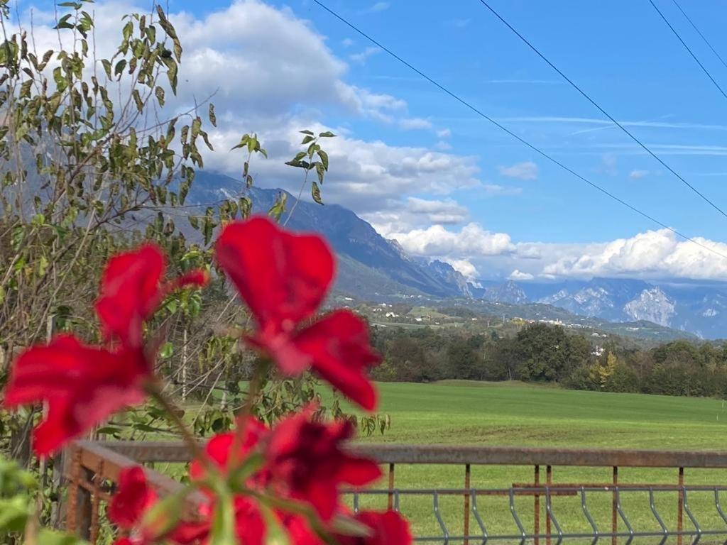 Il Mondo Roverso Feltre Luaran gambar